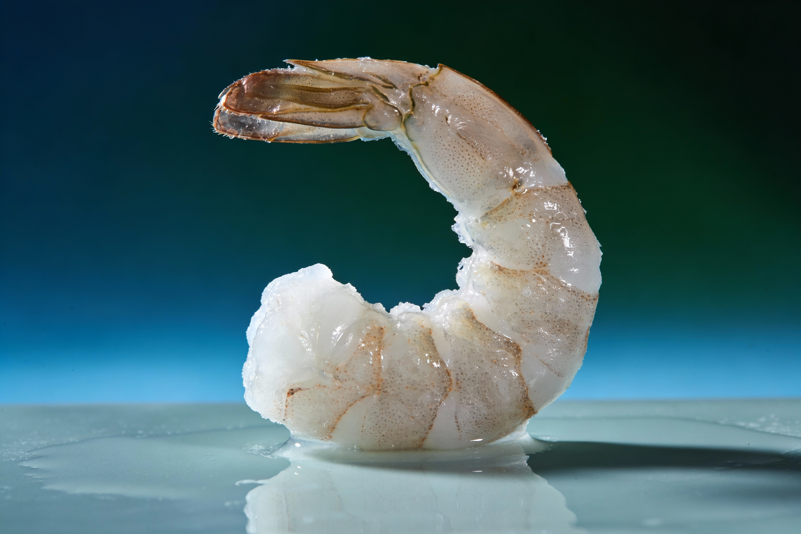 Frozen Shrimp IQF